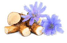 Citric acid extracts