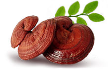 Citric acid extracts